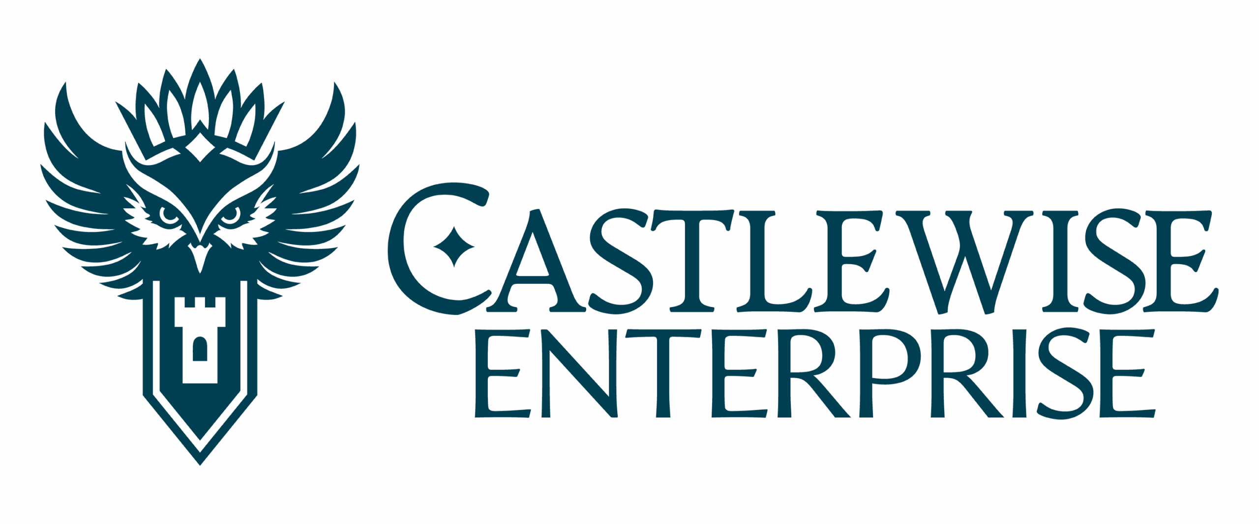Castlewise Enterprise